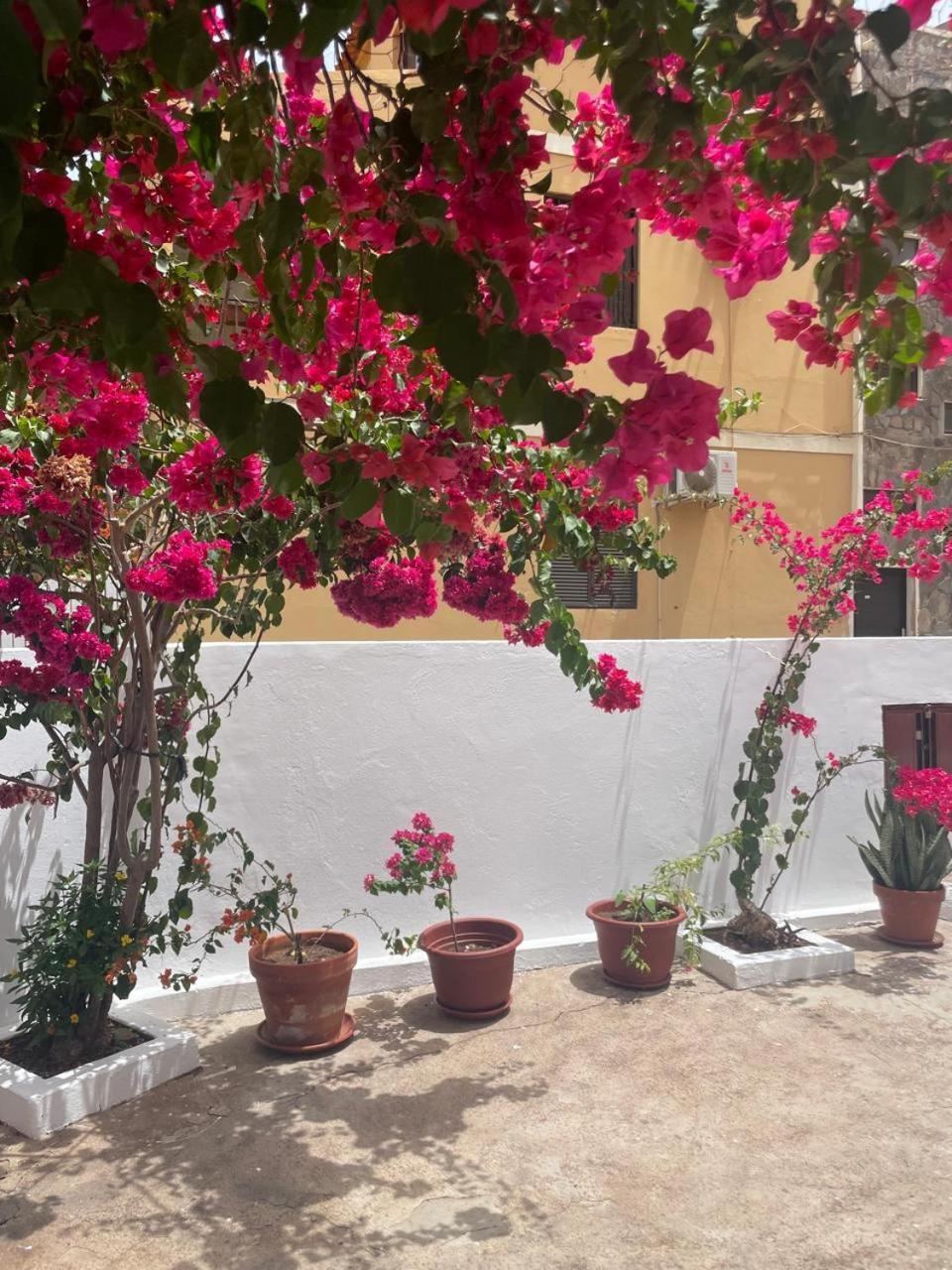 Casa Estrela - Sea & Art Guesthouse Praia Dış mekan fotoğraf