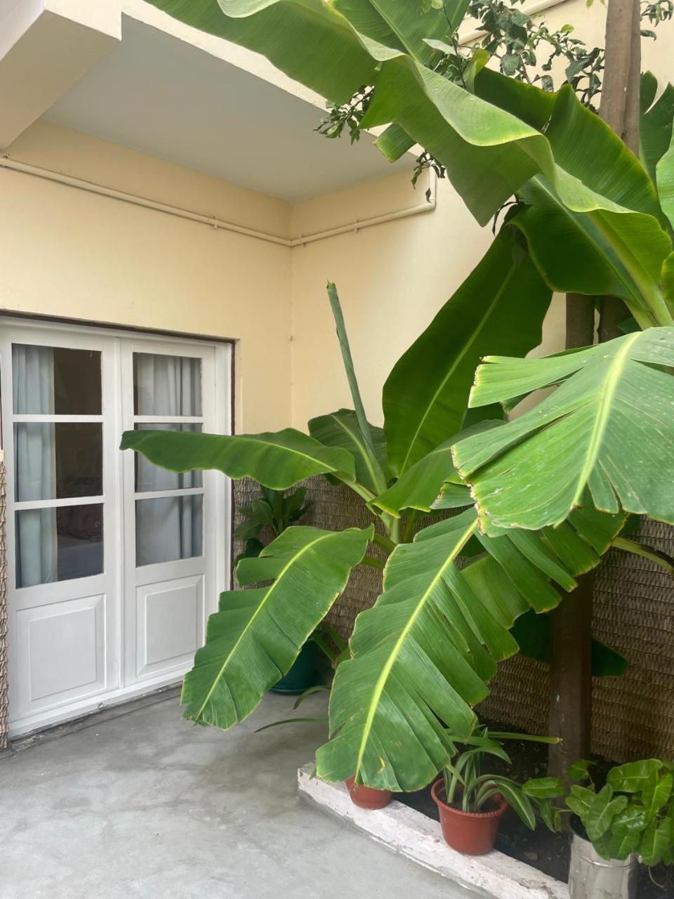 Casa Estrela - Sea & Art Guesthouse Praia Dış mekan fotoğraf